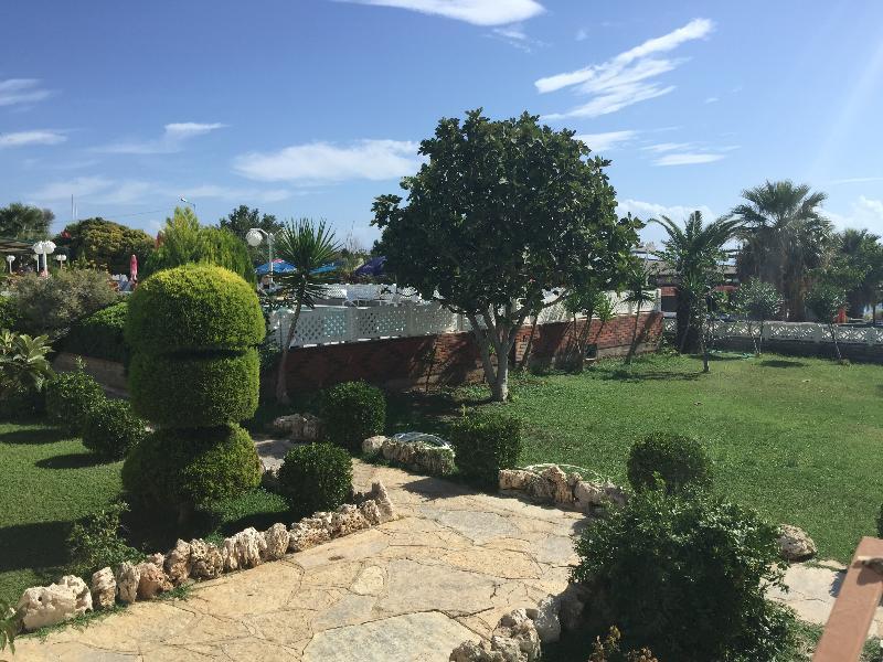Dolunay Apartments Didim Extérieur photo